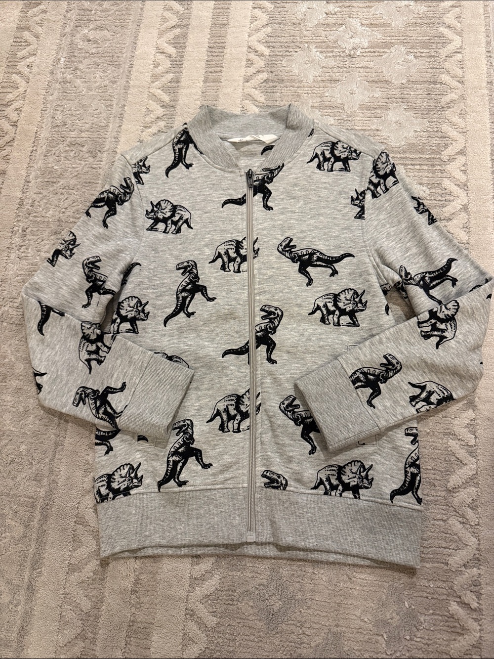 H&M Gray Kids Zip-Up Jacket with Black Dinosaur Print